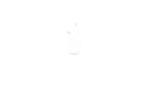 Kapp Chemie logo white