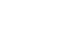 CSM Ingredients logo white